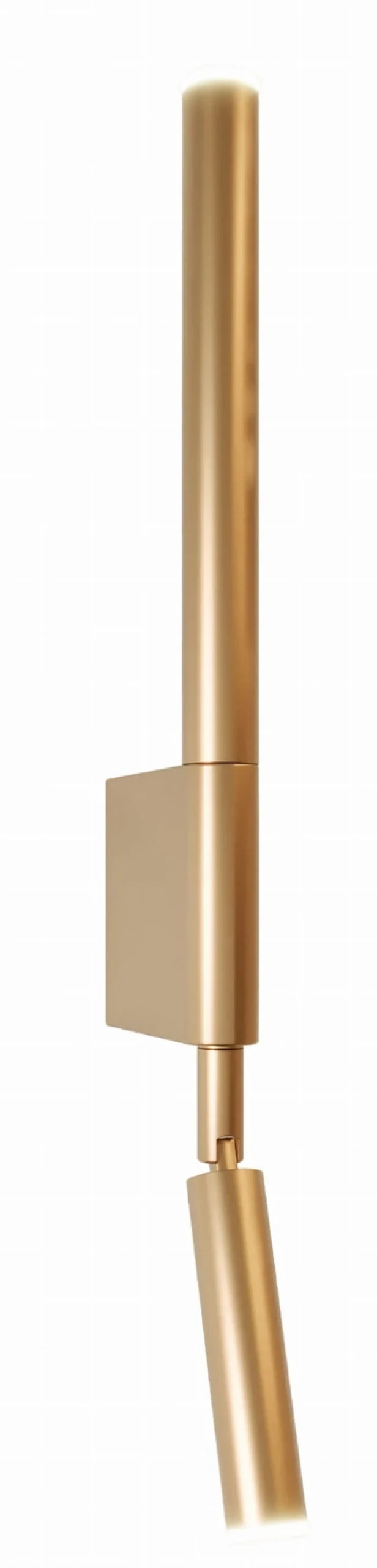 Kinkiet ORGANIC I złoto szczotkowane (W0341) - MAXLIGHT