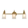 Kinkiet Swell (QZ-SWELL3-BB-BATH) - Elstead Lighting