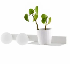 Kinkiet z półką BOTANICA DECO (20852201) - Kaspa