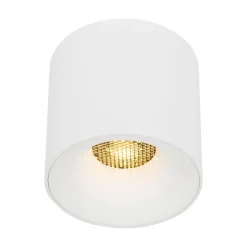 Lampa przysufitowa BLAZE WHITE CCT 30W (18161) - TK Lighting