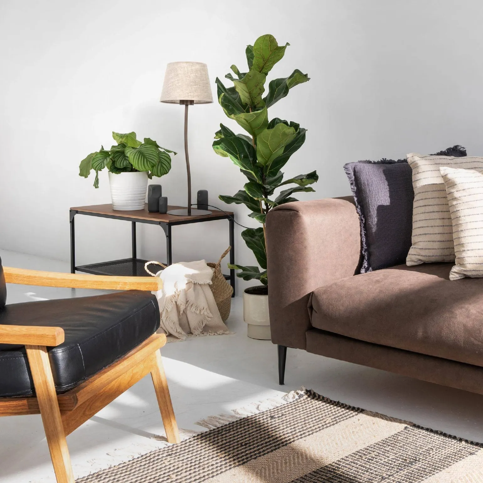 Lampa stołowa NICOLA BROWN 1 S (16027) - TK Lighting