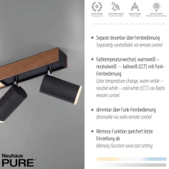 Lampa sufitowa CEILING LIGHT, NATURAL WOOD (6121-79) - Paul Neuhaus