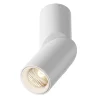 Lampa sufitowa Dafne (C027CL-L10W) - Maytoni