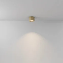 Lampa sufitowa Hydra (C090CL-10W3K-MG) - Maytoni