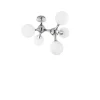 Lampa sufitowa NODI PL5 kol. biały (073712) - Ideal Lux