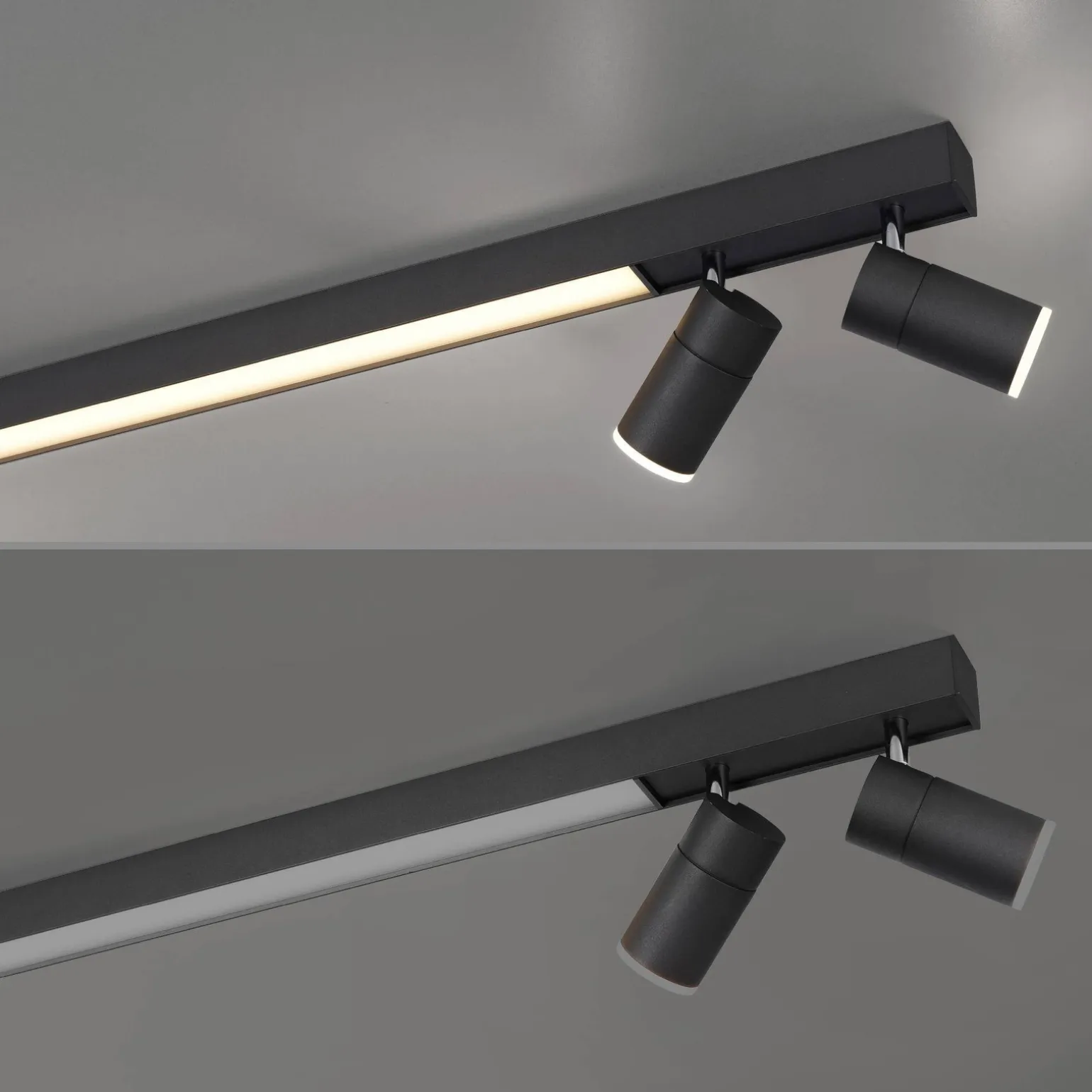 Lampa sufitowa PURE-LINES (6121-13) - Paul Neuhaus