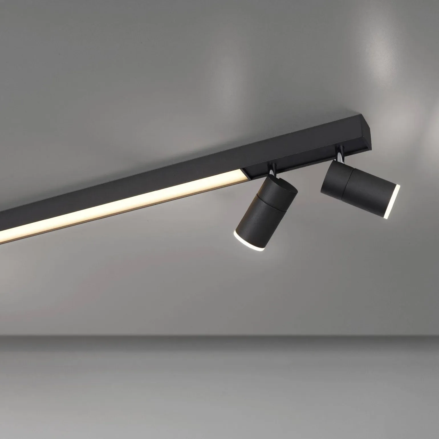 Lampa sufitowa PURE-LINES (6121-13) - Paul Neuhaus