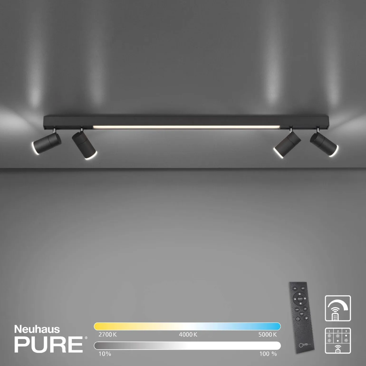 Lampa sufitowa PURE-LINES (6121-13) - Paul Neuhaus