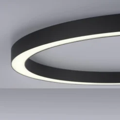 Lampa sufitowa PURE-LINES (6306-13) - Paul Neuhaus