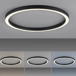 Lampa sufitowa PURE-LINES (6306-13) - Paul Neuhaus