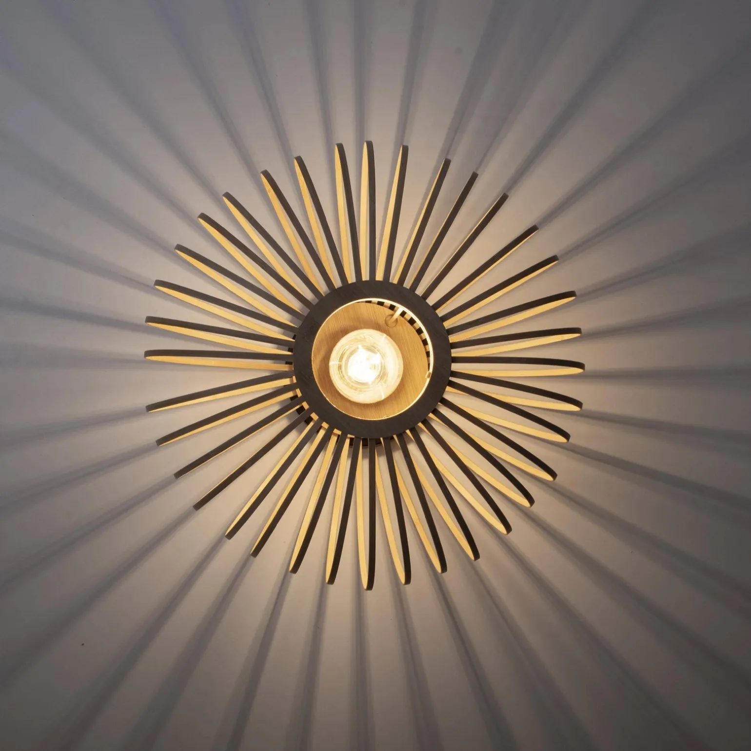 Lampa sufitowa RACOON (11410-79) - Paul Neuhaus