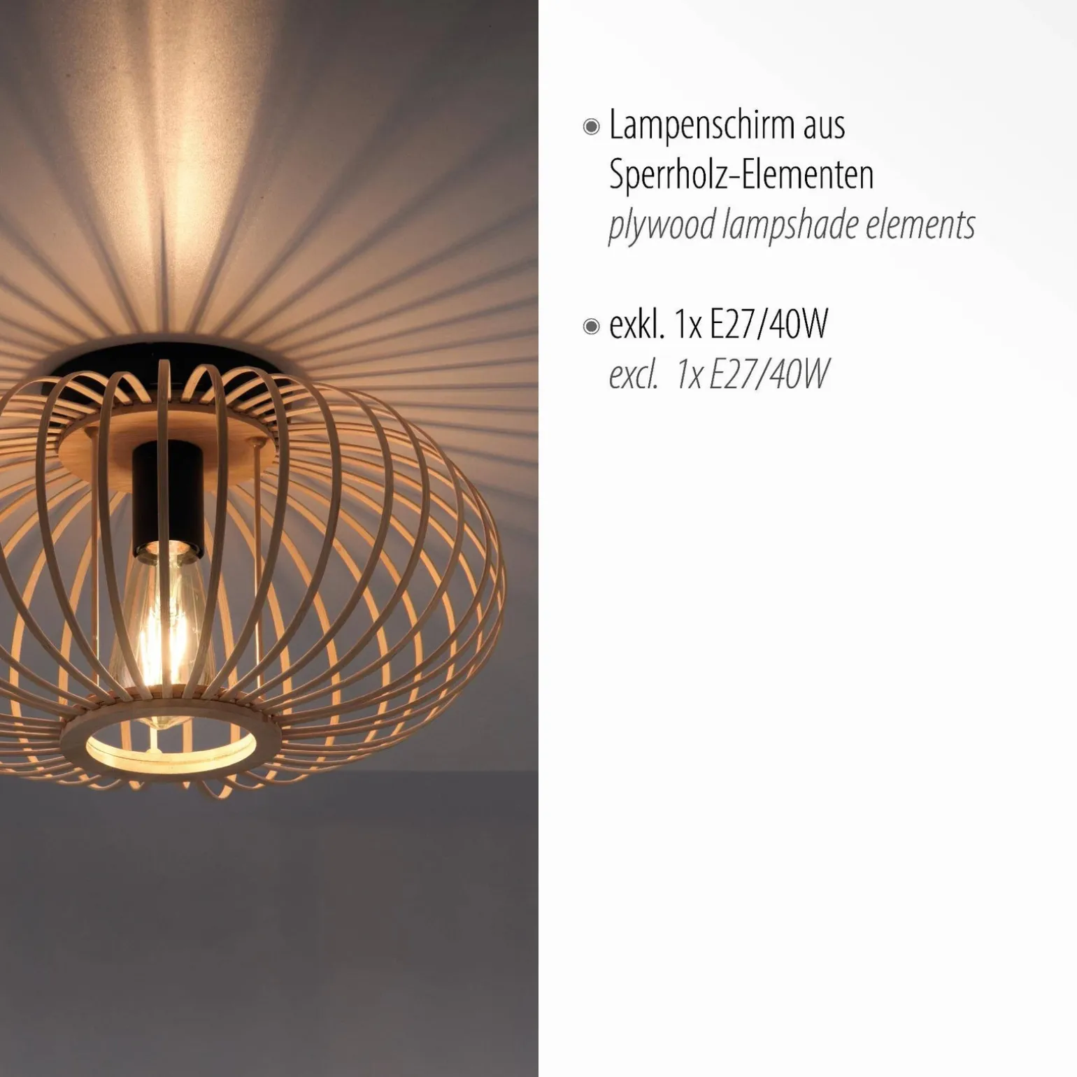 Lampa sufitowa RACOON (11410-79) - Paul Neuhaus