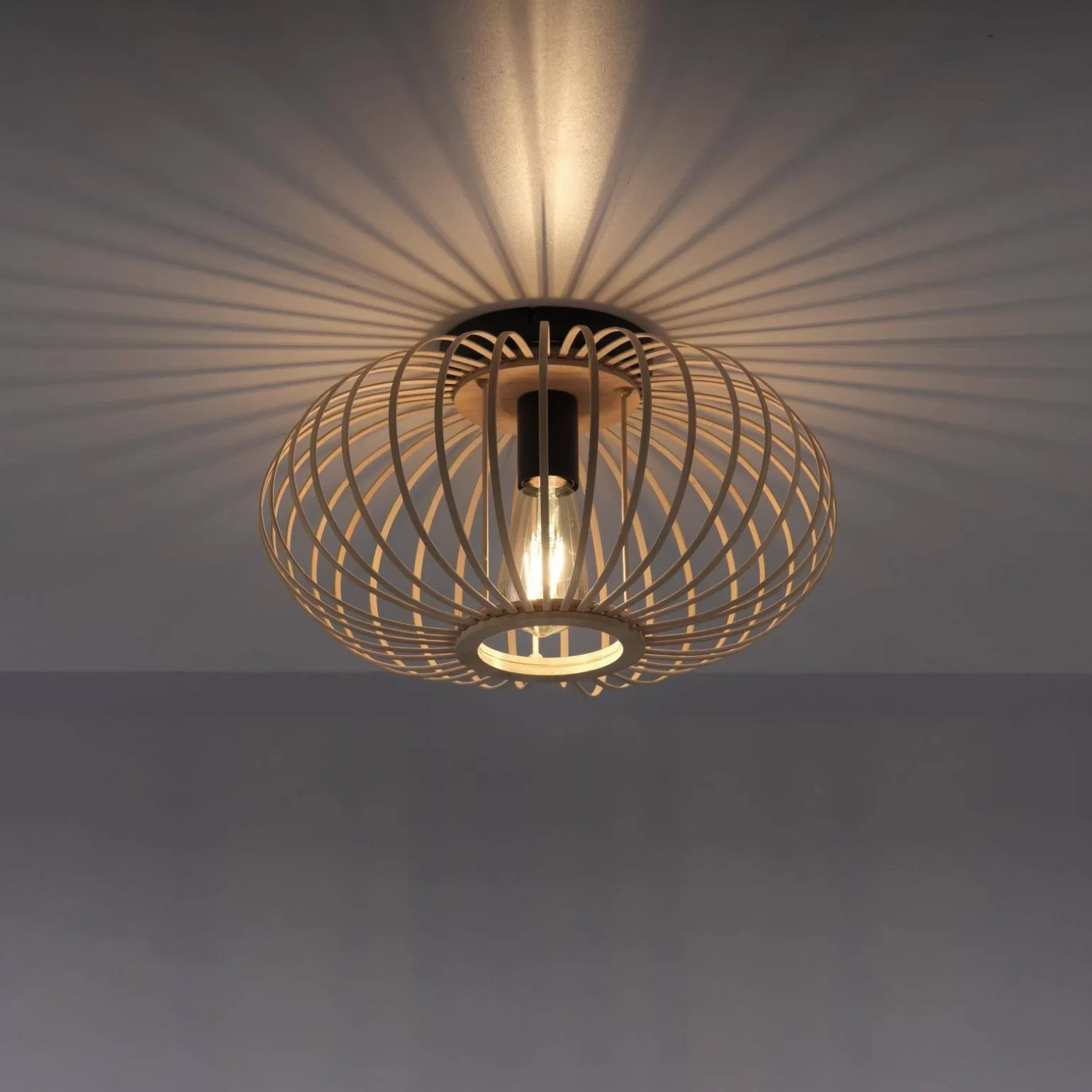 Lampa sufitowa RACOON (11410-79) - Paul Neuhaus