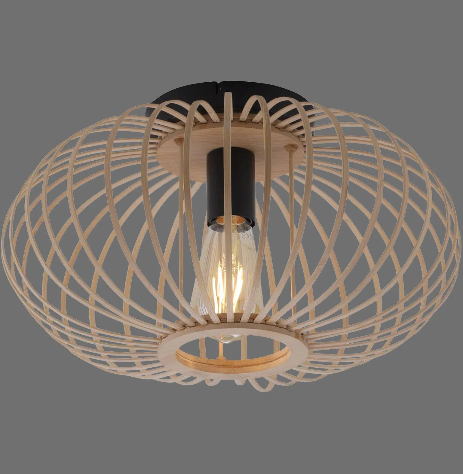 Lampa sufitowa RACOON (11410-79) - Paul Neuhaus