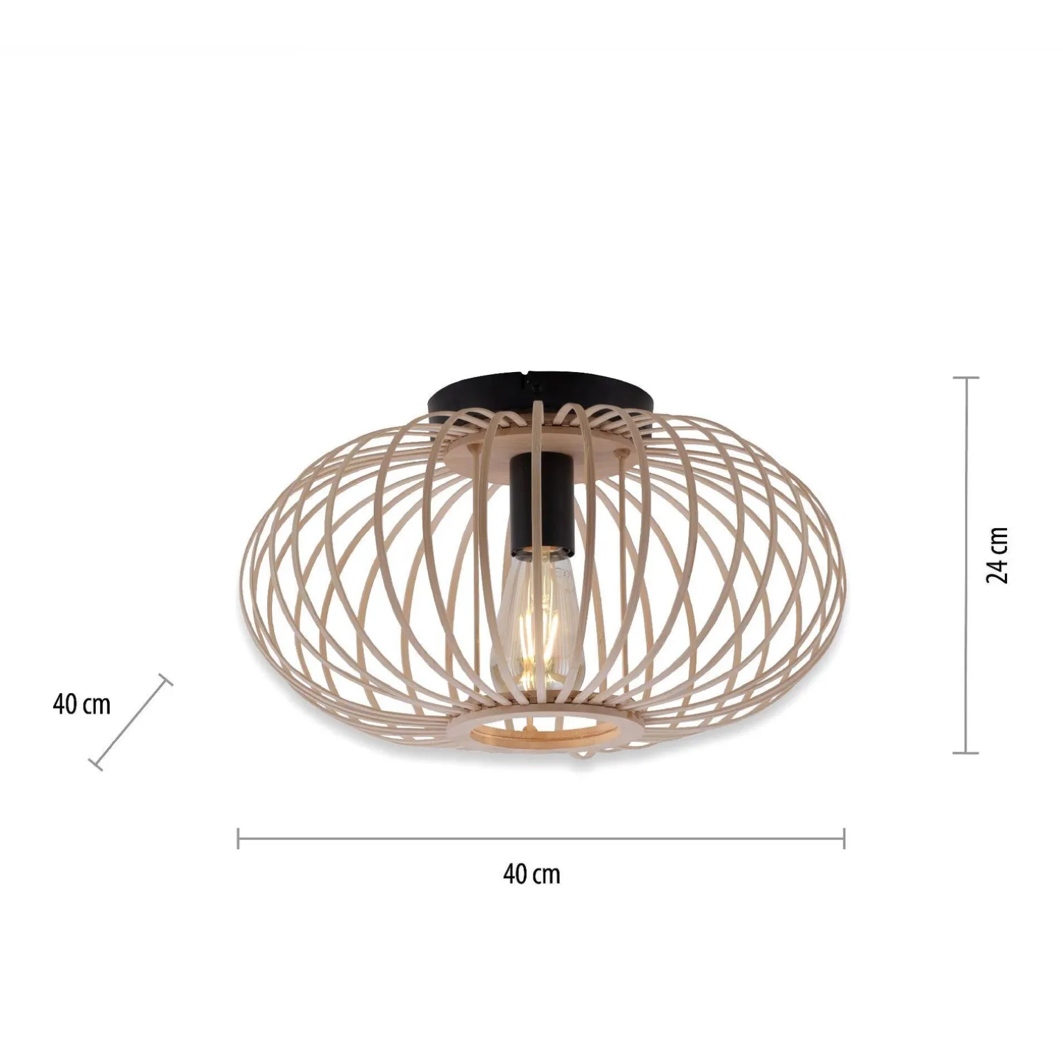 Lampa sufitowa RACOON (11410-79) - Paul Neuhaus