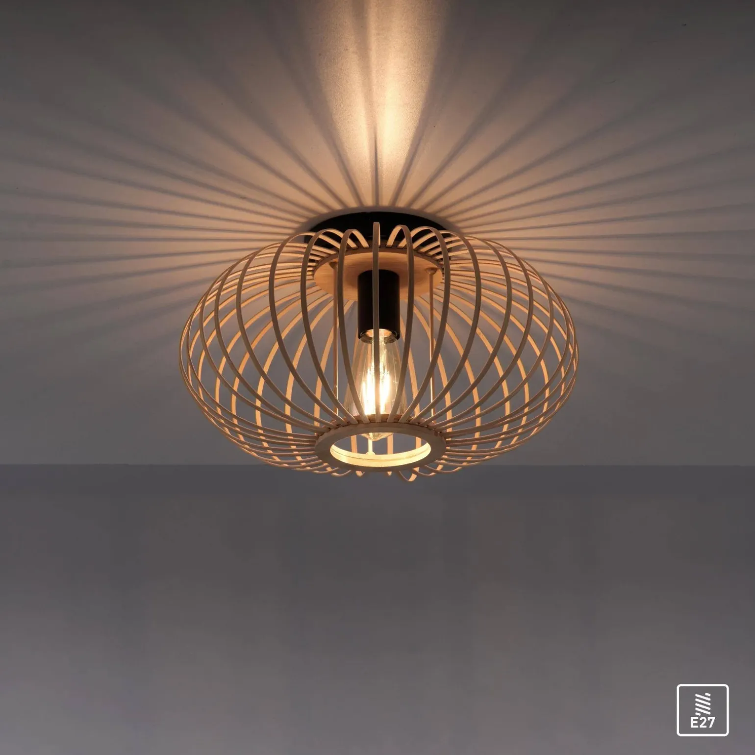 Lampa sufitowa RACOON (11410-79) - Paul Neuhaus