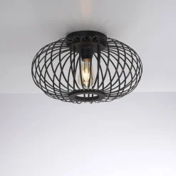 Lampa sufitowa RACOON CZARNA (11410-18) - Paul Neuhaus