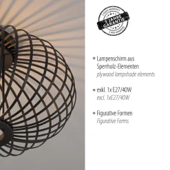Lampa sufitowa RACOON CZARNA (11410-18) - Paul Neuhaus