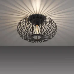 Lampa sufitowa RACOON CZARNA (11410-18) - Paul Neuhaus