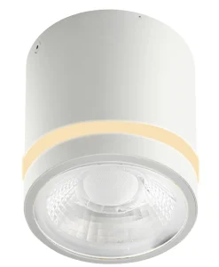 Lampa sufitowa spot VICI IP44 12W CCT SWITCH Biały (AZ6040) - Azzardo