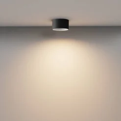 Lampa sufitowa Vega (C089CL-12W3K-B) - Maytoni