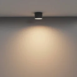 Lampa sufitowa Vega (C089CL-8W3K-B) - Maytoni