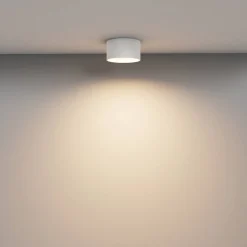 Lampa sufitowa Vega (C089CL-12W3K-W) - Maytoni