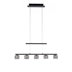 Lampa wisząca HYDRA (2209-18) - Paul Neuhaus