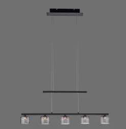 Lampa wisząca HYDRA (2209-18) - Paul Neuhaus