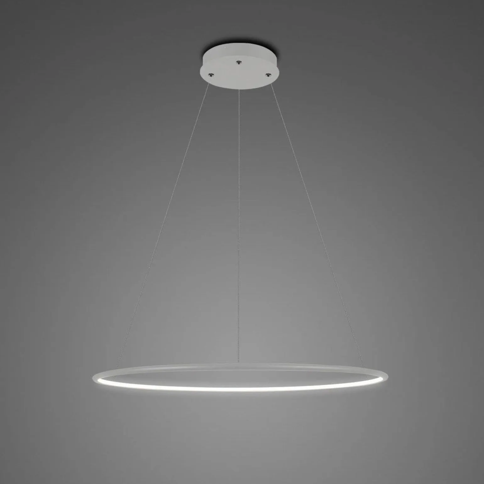 Lampa wisząca Ledowe okręgi No.1 Φ40 cm in 4k srebrna Altavola Design (LA073/P_40_in_4k_silver) - ALTAVOLA DESIGN