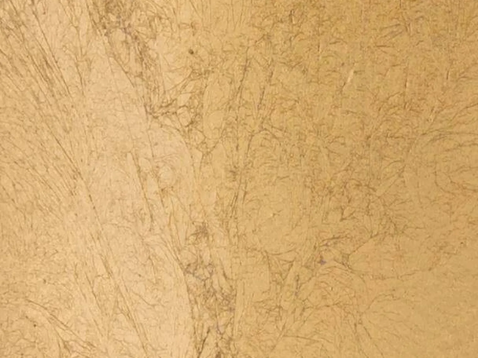 Lampa wisząca Torcido (61018) - Fischer&Honsel