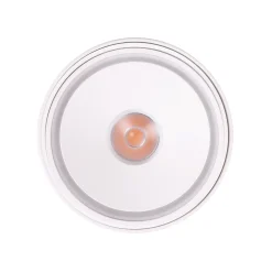 MAXLIGHT C0265 LAMPA SUFITOWA VECTOR 10W BIAŁA