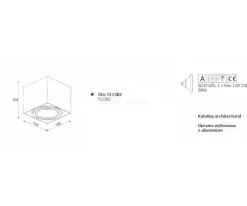 Plafon TITO kol. SREBRNY (T113B2101) Cleoni