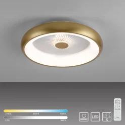 Plafon VERTIGO ceiling light brass matt body (14384-60) - Paul Neuhaus