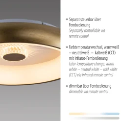 Plafon VERTIGO ceiling light brass matt body (14384-60) - Paul Neuhaus