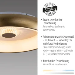 Plafon VERTIGO ceiling light brass matt body (14384-60) - Paul Neuhaus