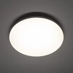 Plafon wewnętrzny z czujnikiem ruchu DENIA LED M SENSOR (11761) - Nowodvorski