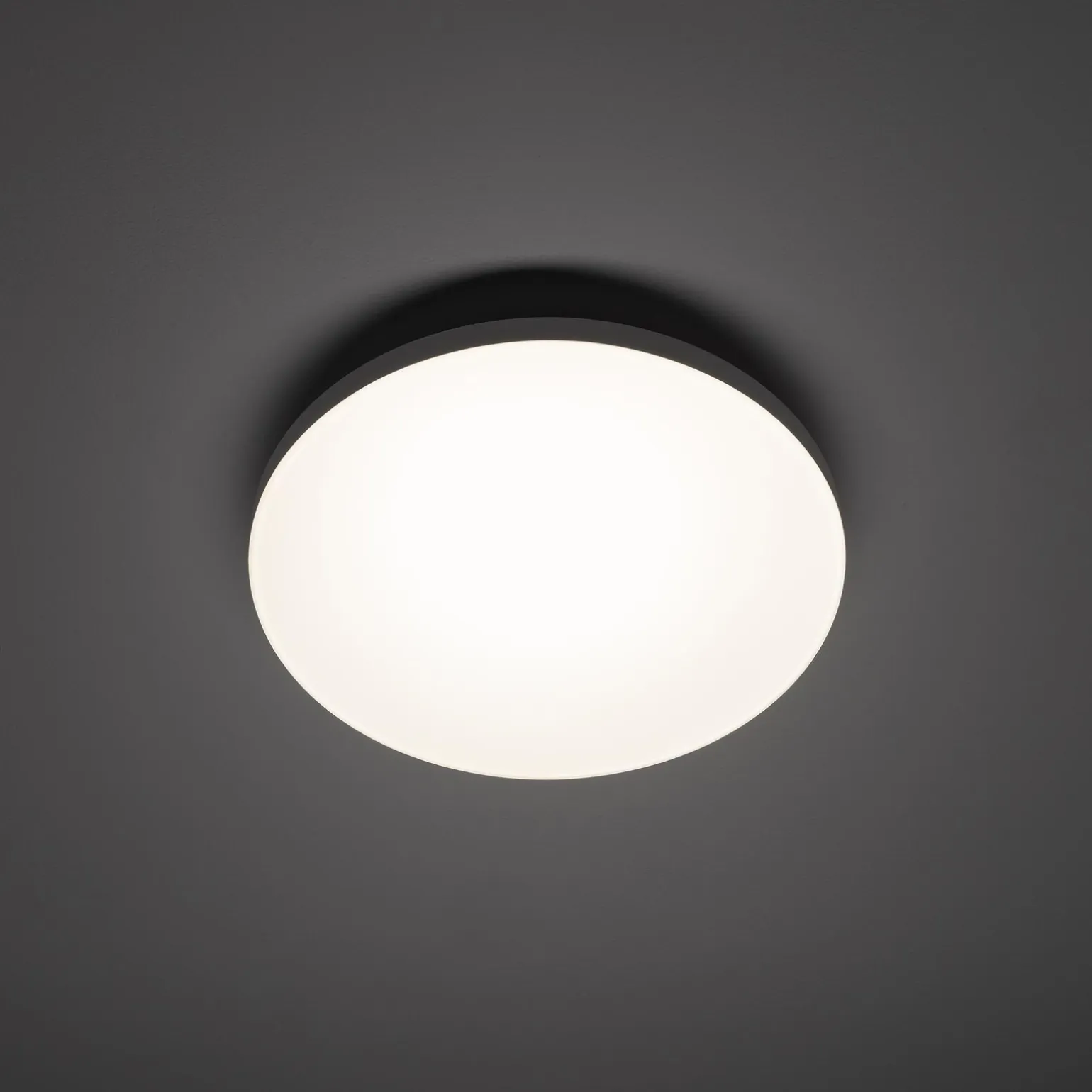 Plafon wewnętrzny z czujnikiem ruchu DENIA LED S SENSOR (11760) - Nowodvorski