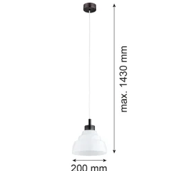Pojedyncza lampa wisząca VENTURA (8777) - Argon